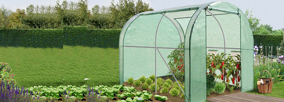 6M² groene tuintunnel kas ROMA 2x3M groente assortiment